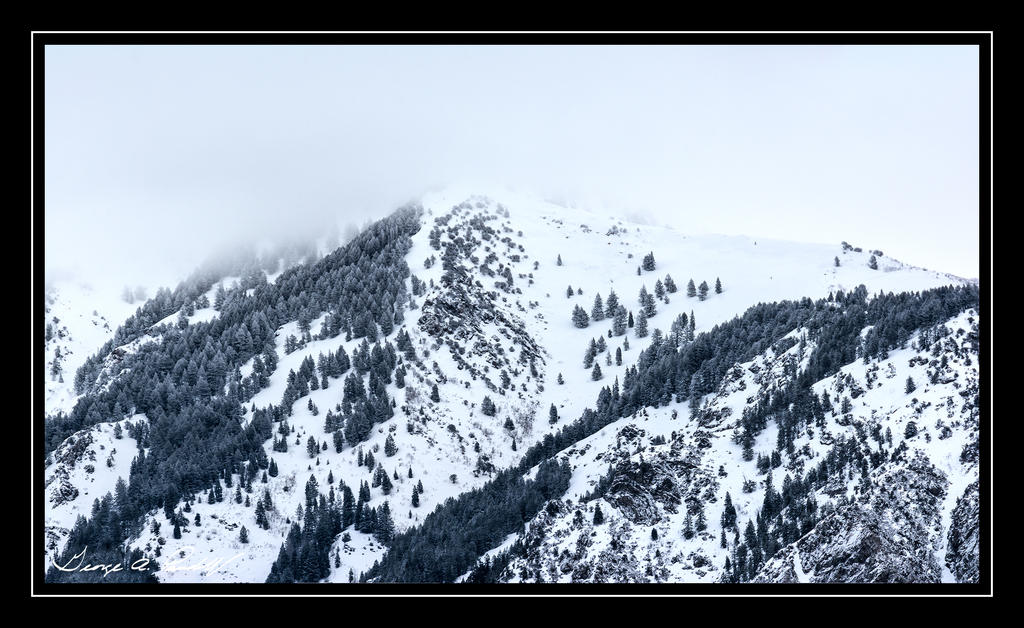 W_Untitled_Panorama1.jpg