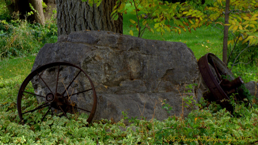 Wagon Wheels 10-10-2016.jpg