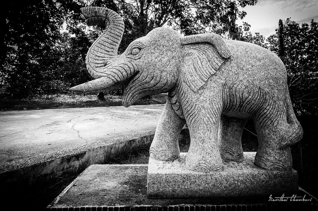wai-elephant-1.jpg