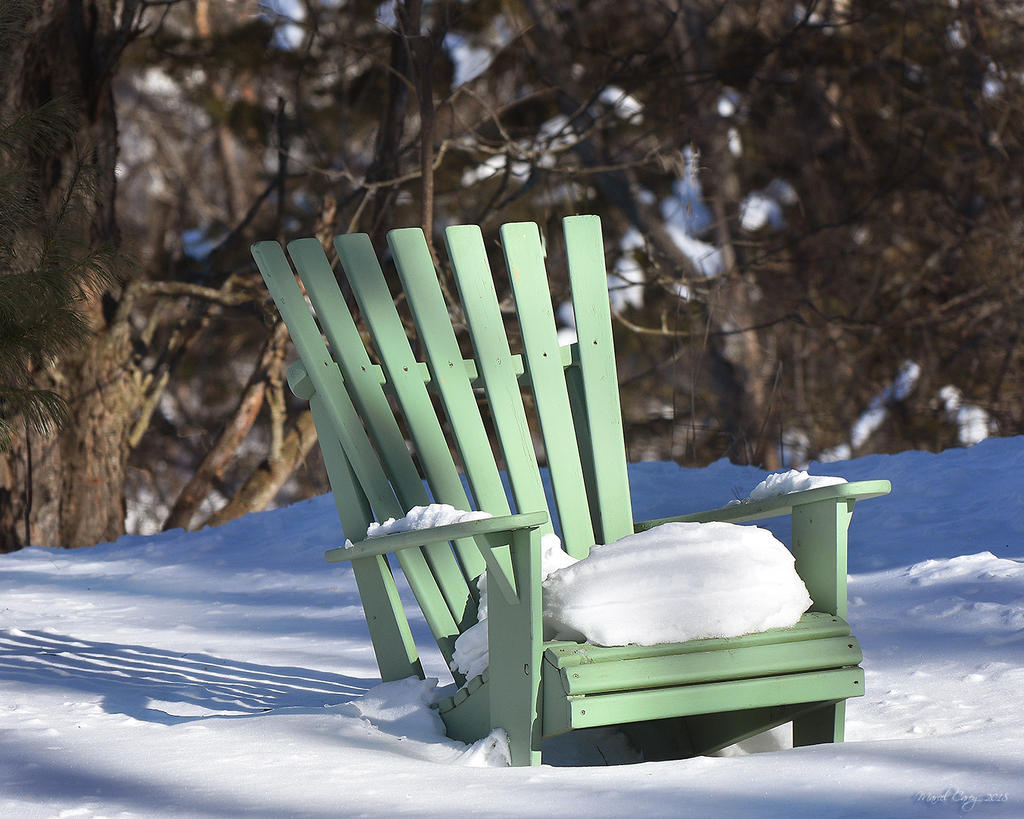Waiting for warmth.jpg