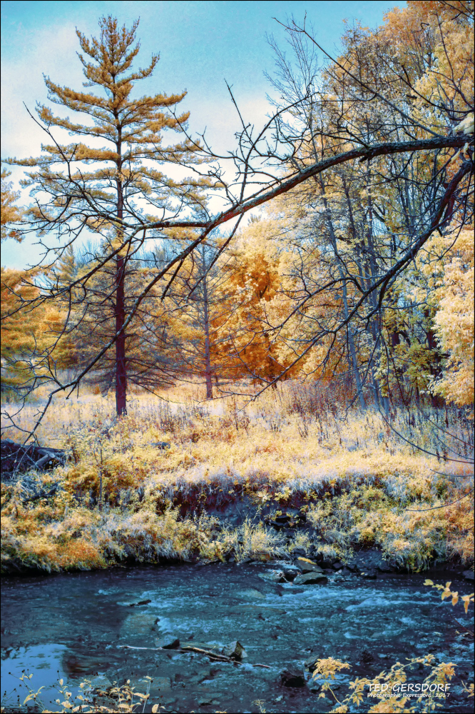 Wako IR  ReDo  5_01.JPG