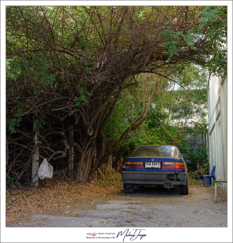 walk-4.jpg