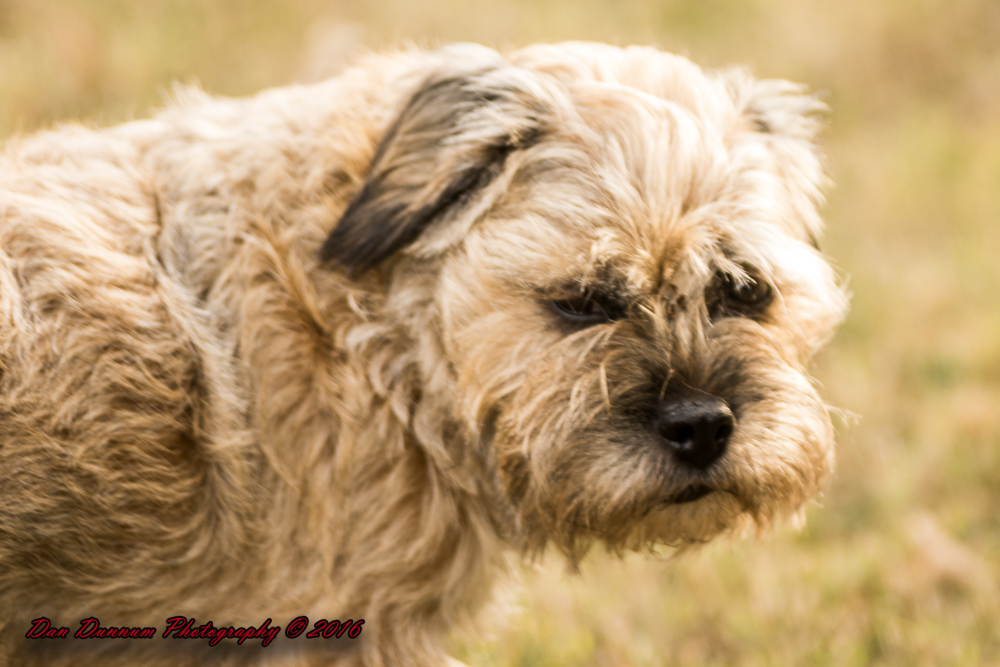 walk about-5884.jpg