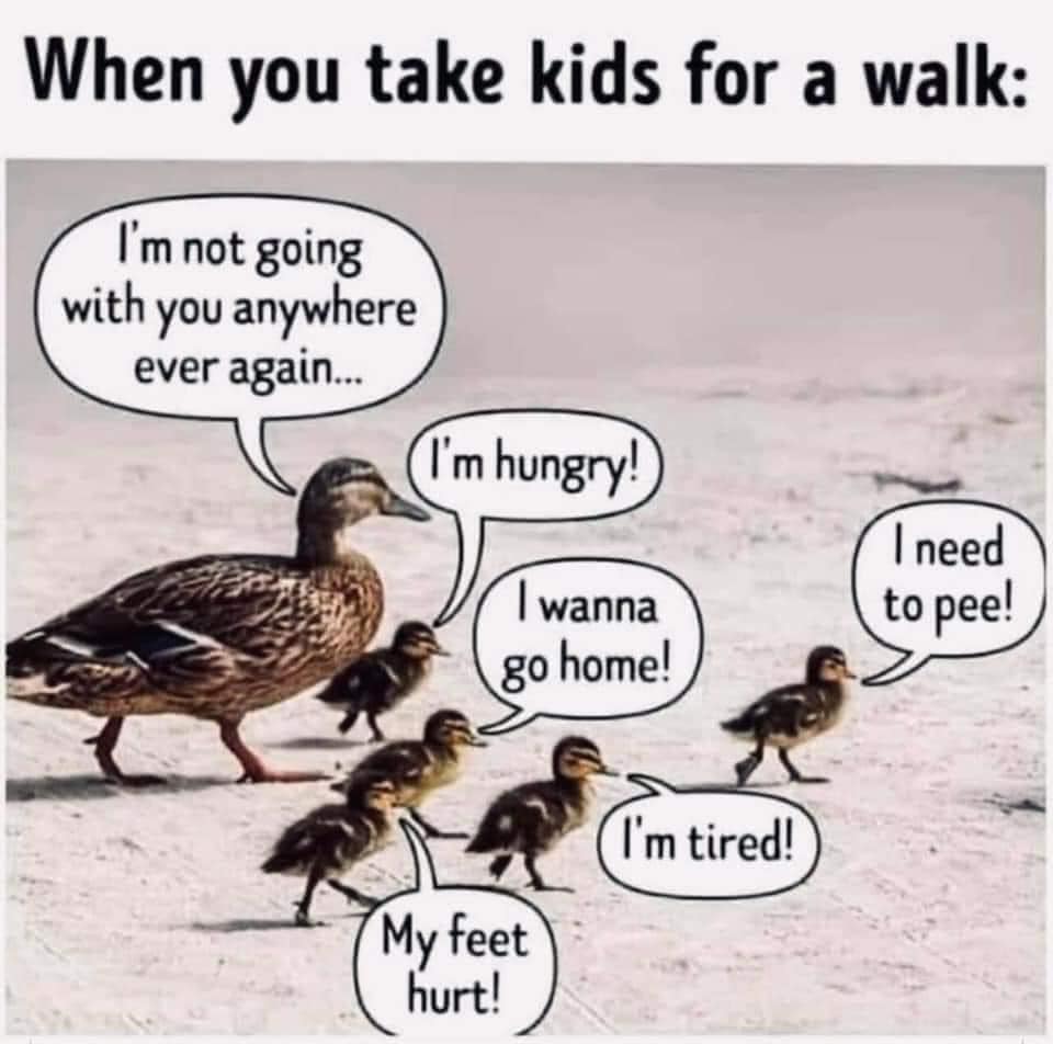 walk.jpg