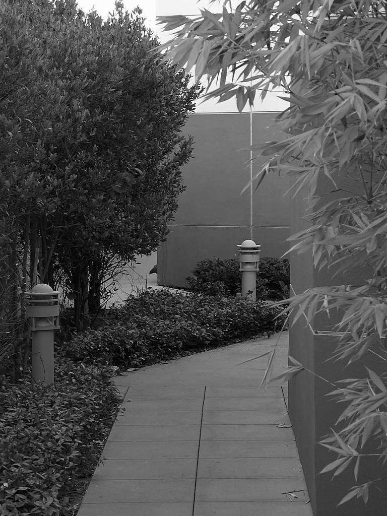 Walkway.jpg