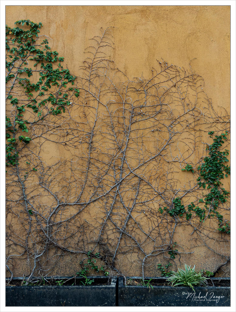 wall-1.jpg