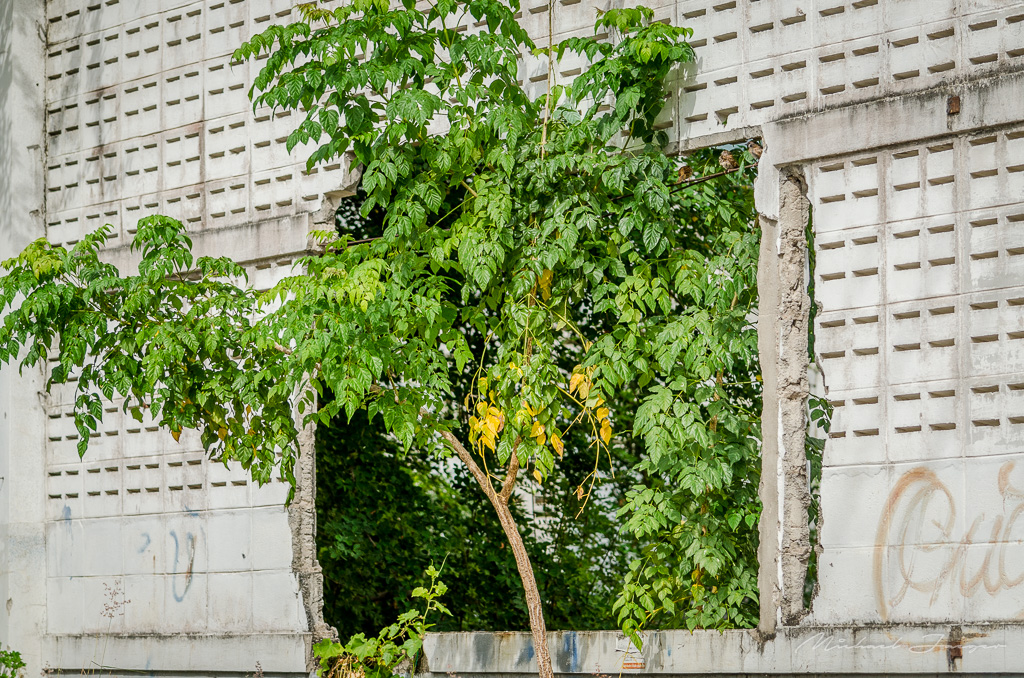 wall-3.jpg