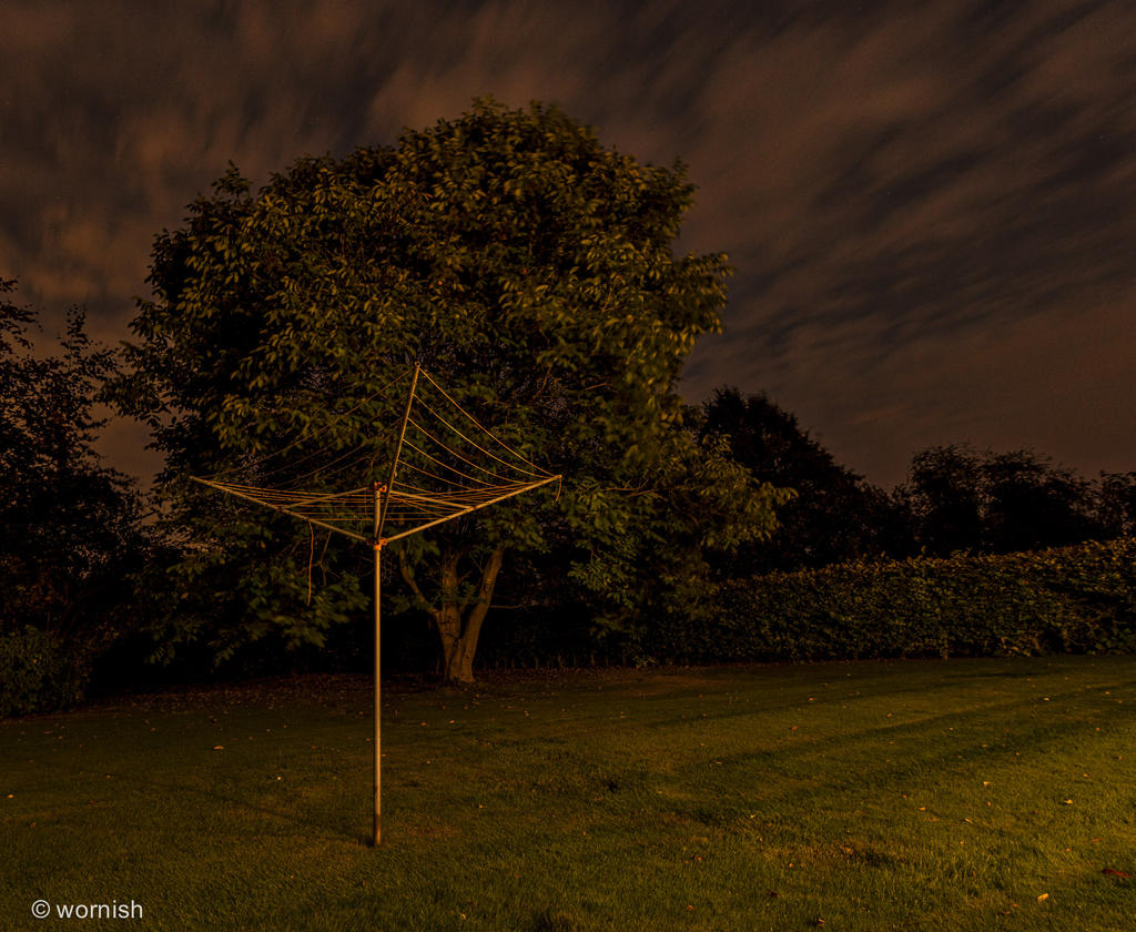 walnut tree.jpg