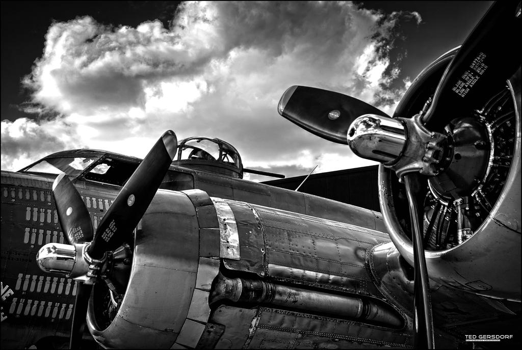 Warbird Redo  1BW.jpg