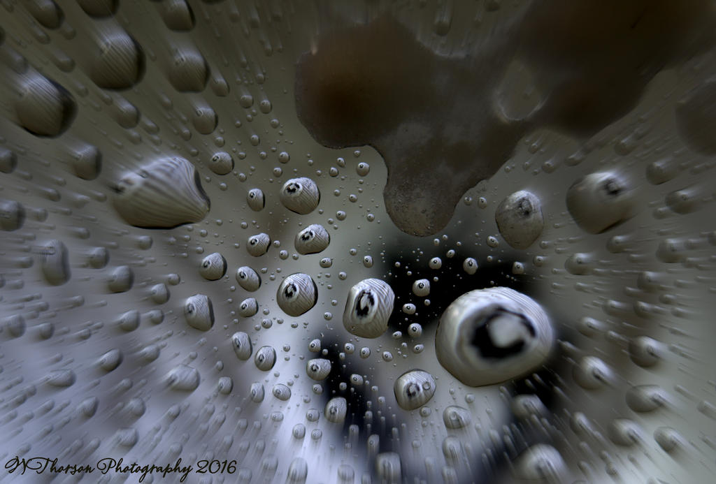 Warp Speed 11-11-2016.jpg
