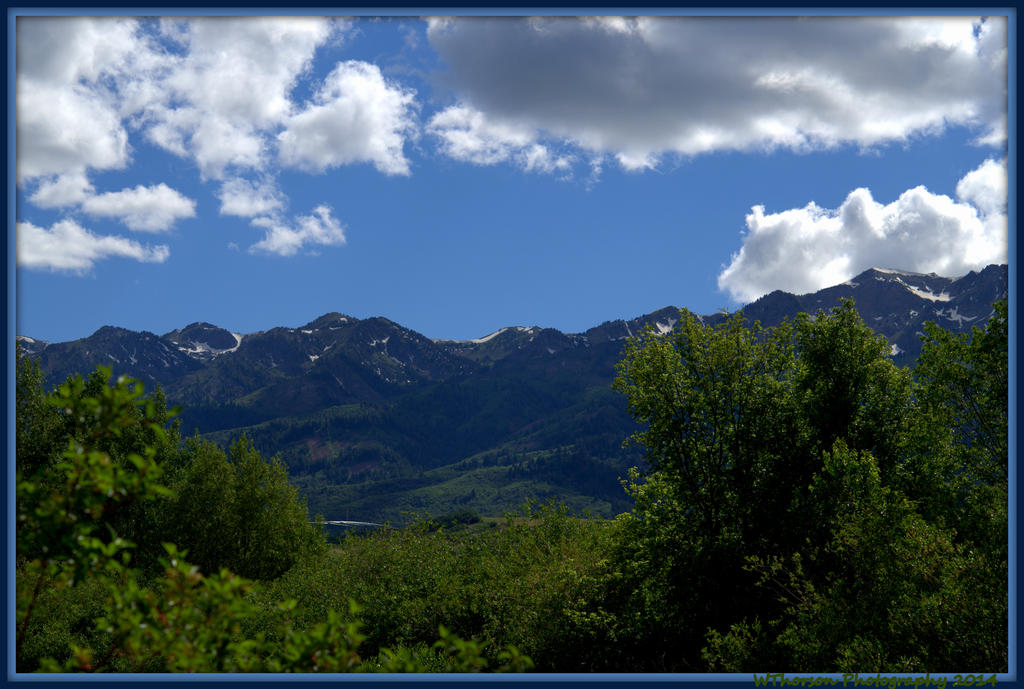 Wasatch Back.jpg