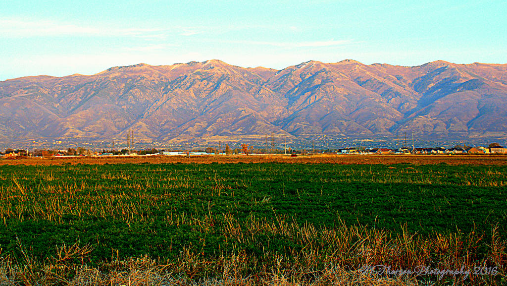 Wasatch Mountains  11-7-2016.jpg