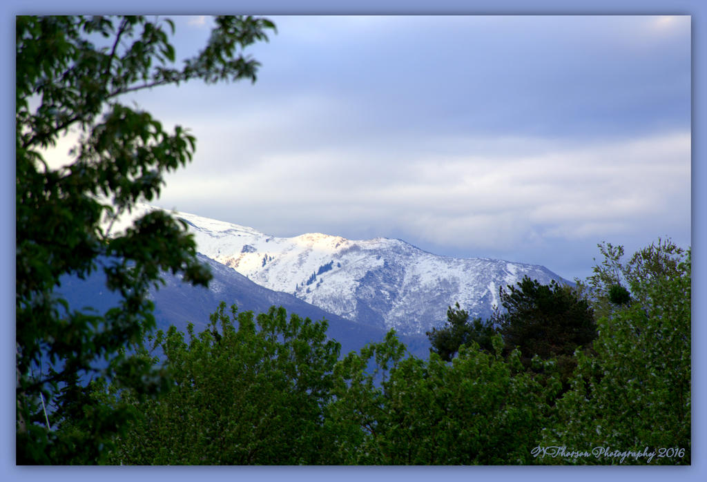 Wasatch Mountains  4-26-2016.jpg