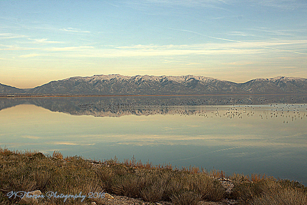 Wasatch Mountains Reflected in the Great Salt Lake 11-25-2016.jpg