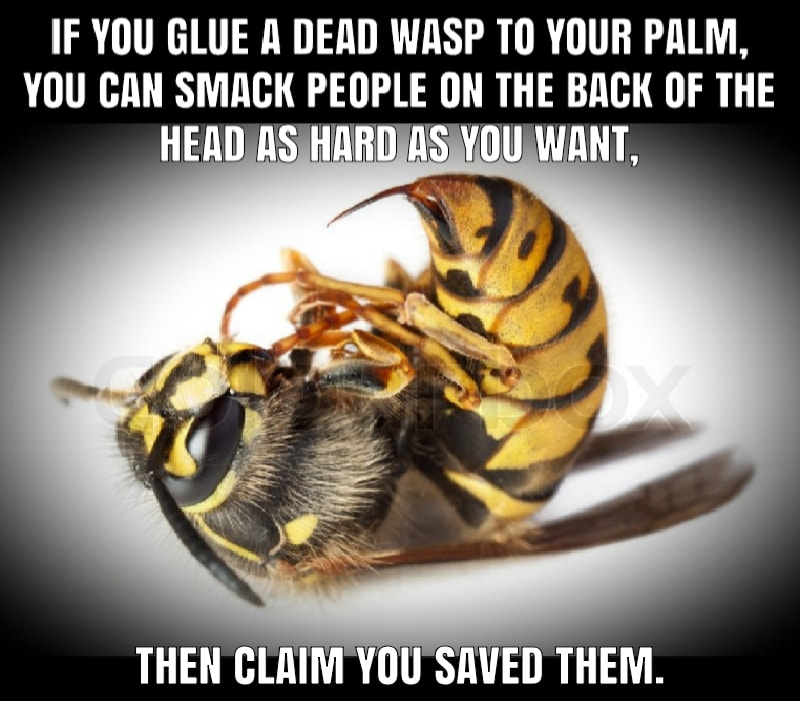 wasp.jpg
