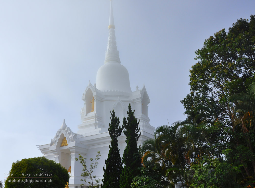 wat-1.jpg