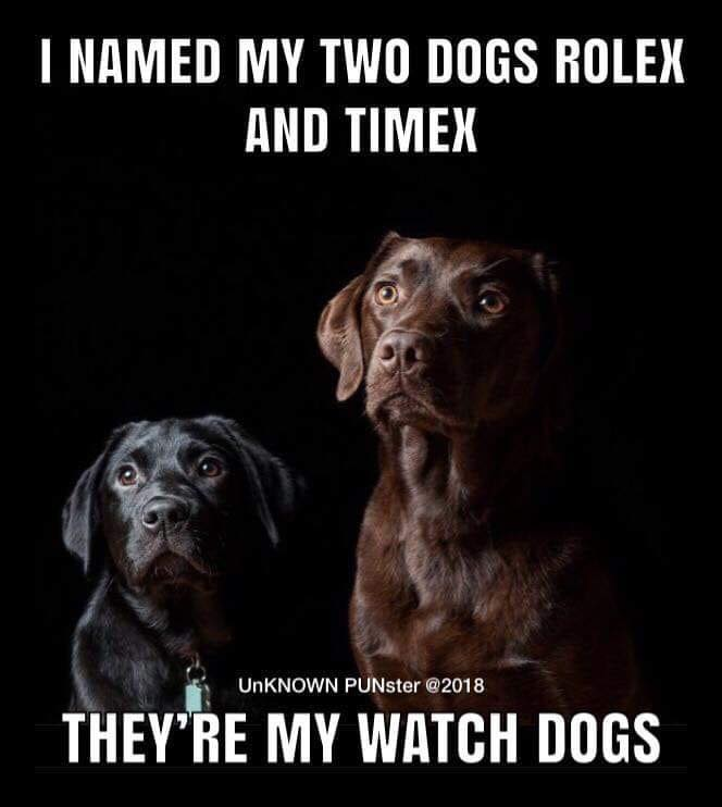 watchdogs.png