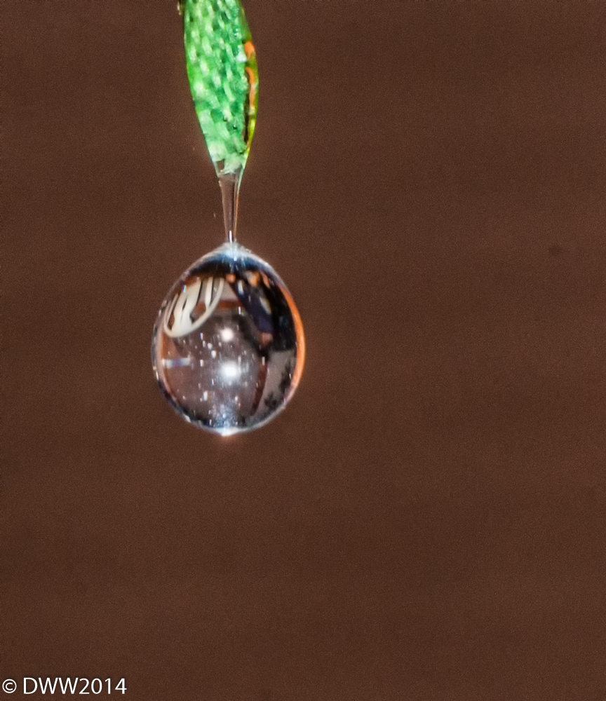 Water Drop relection color.jpg