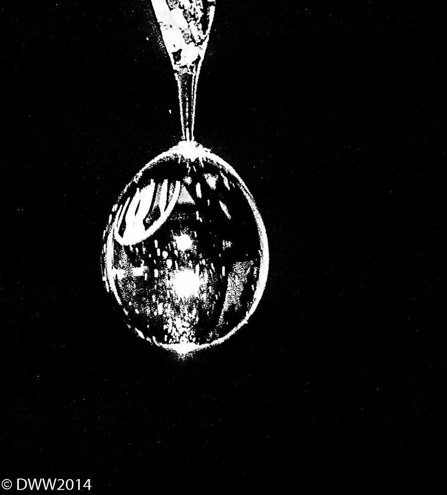 Water Drop relection.jpg