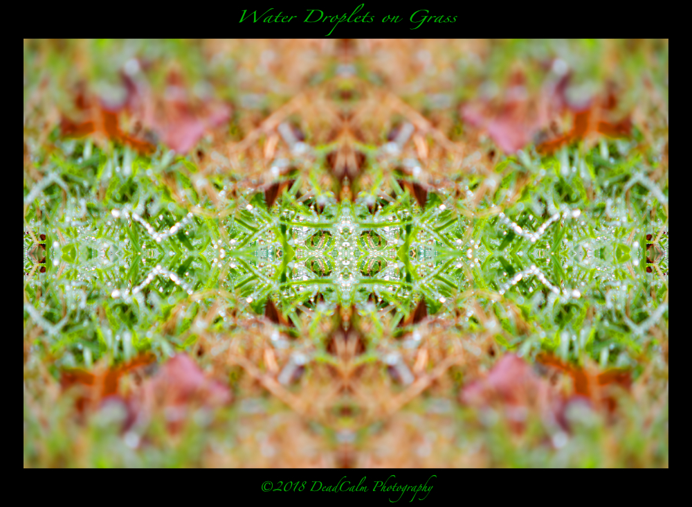 Water Drops N500_4416.jpg