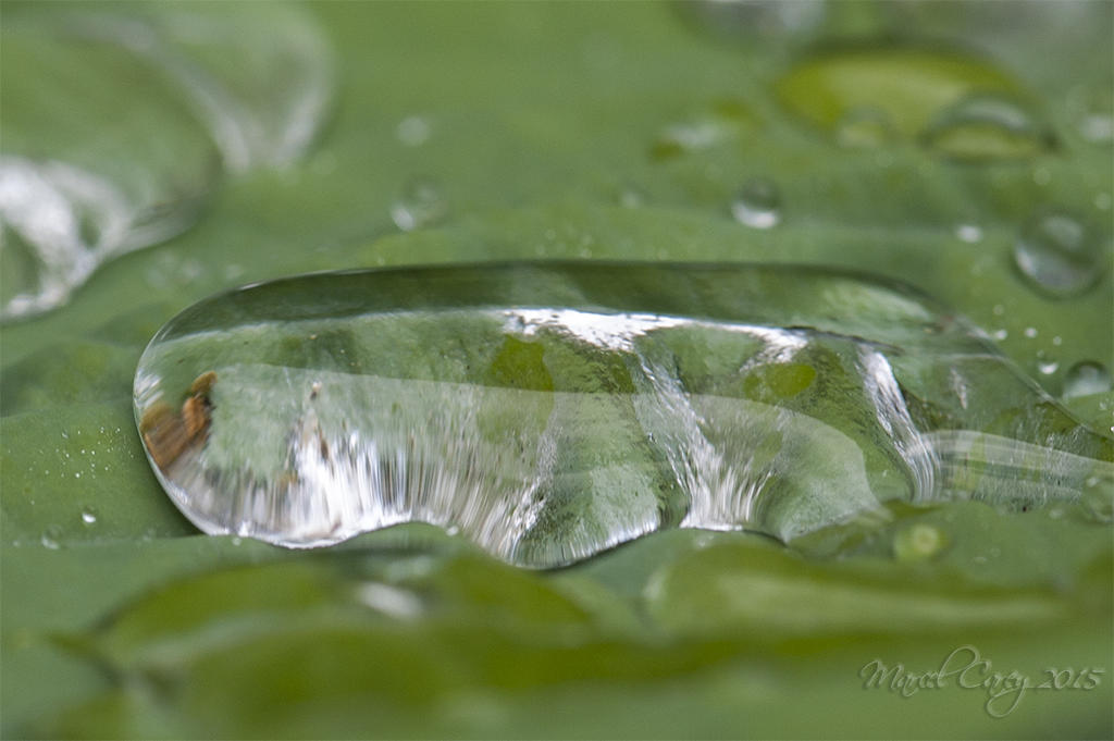 water falls in a drop.jpg