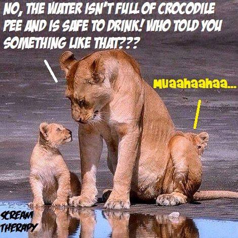 water.jpg