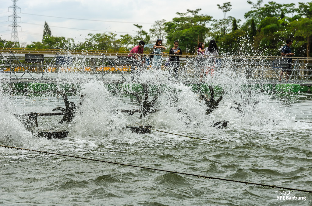water-oxigen-2.jpg