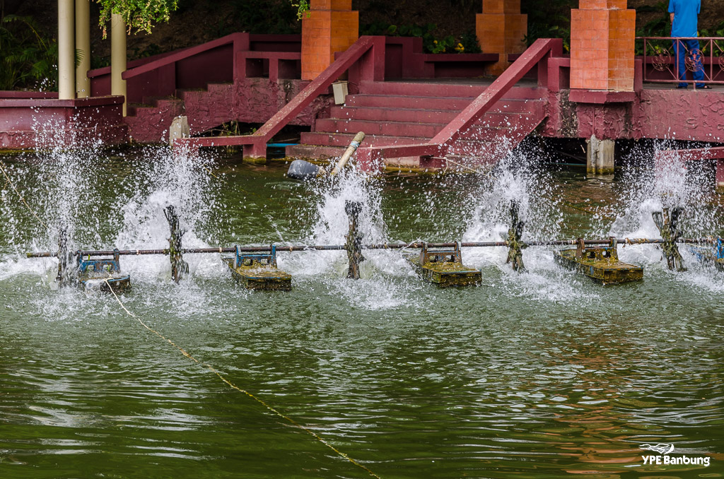 water-oxigen-3.jpg