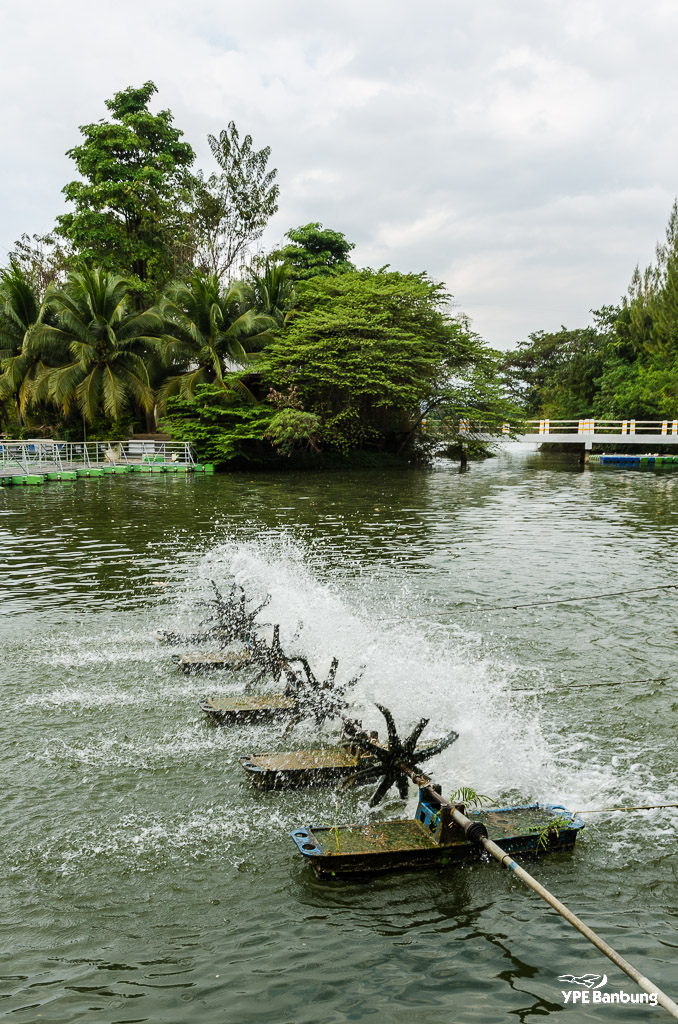water-oxigen-4.jpg