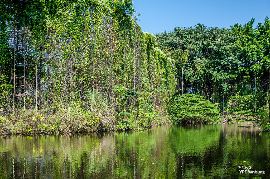 water1-1.jpg