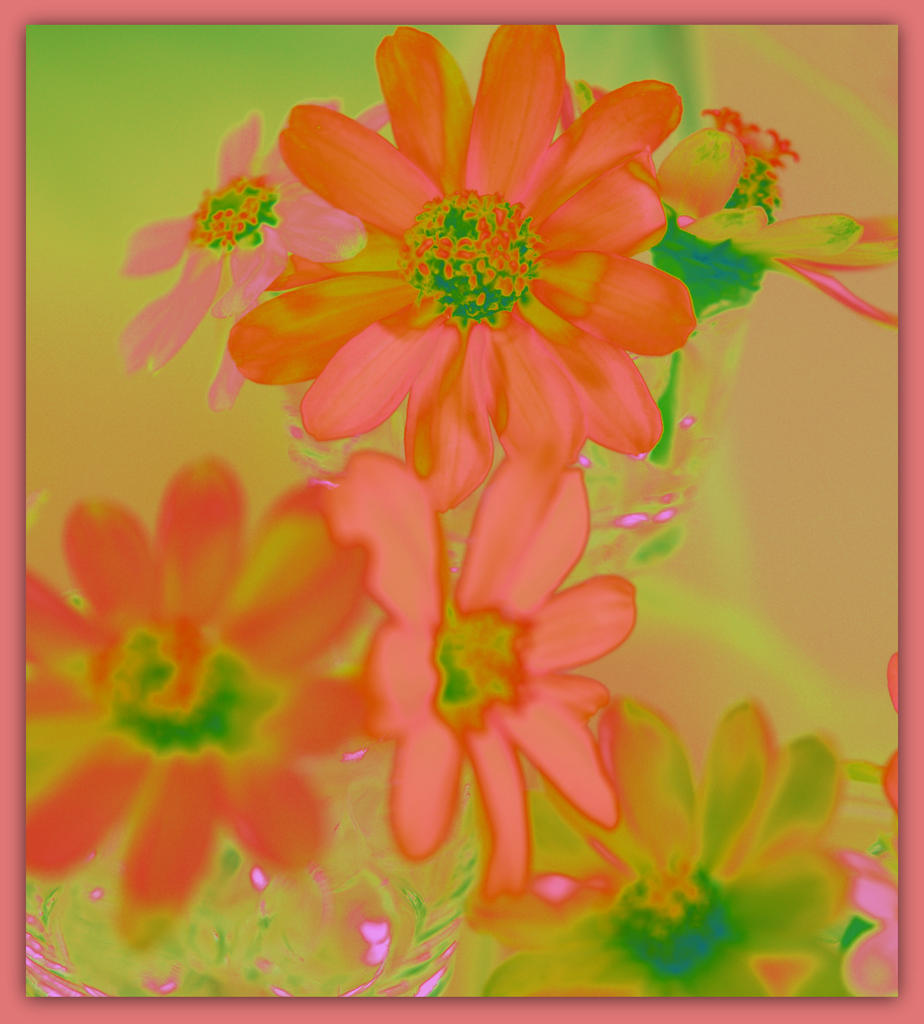 Watercolor Zinnias.jpg