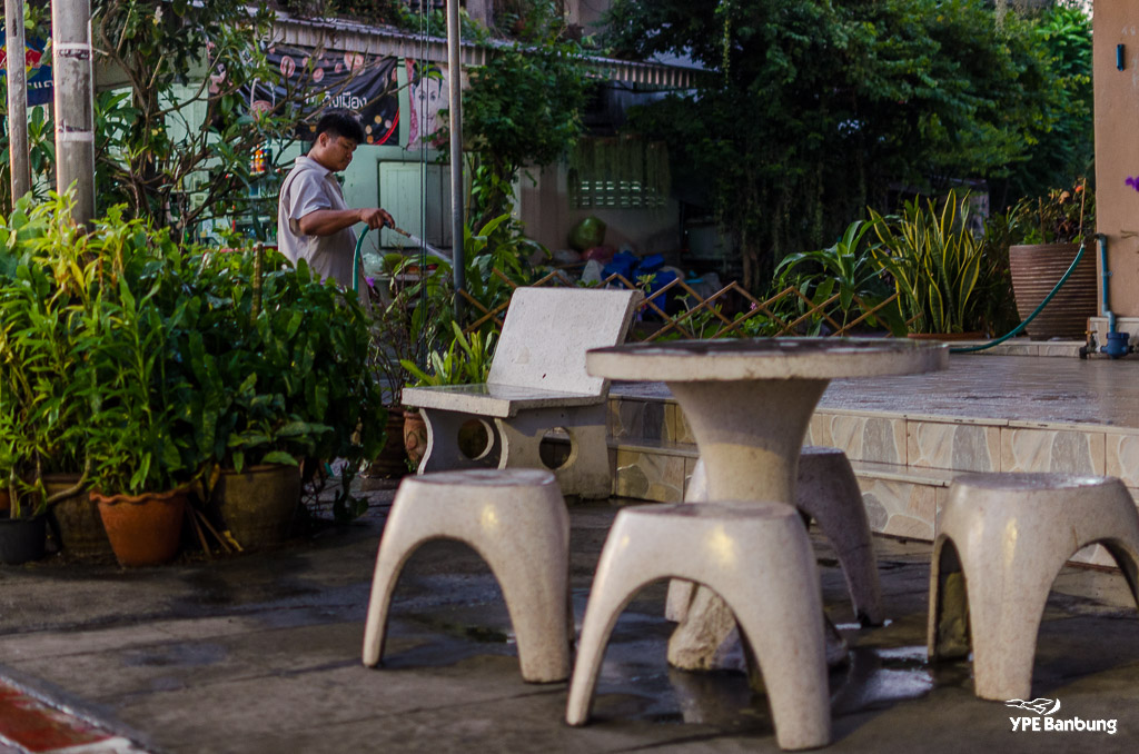 watering-1.jpg