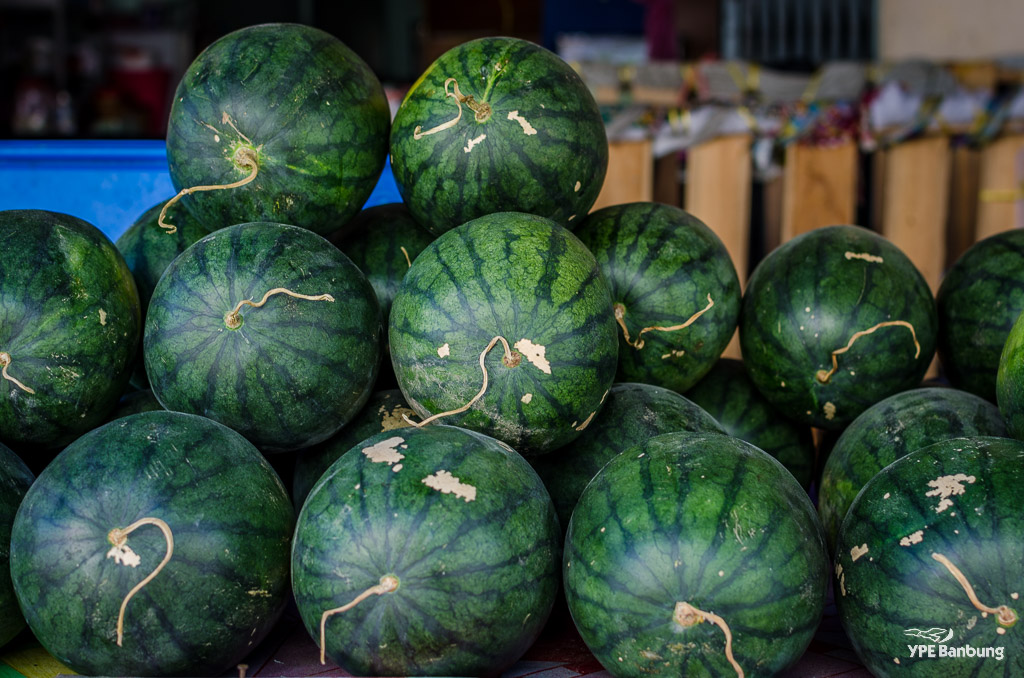 watermelons-1.jpg