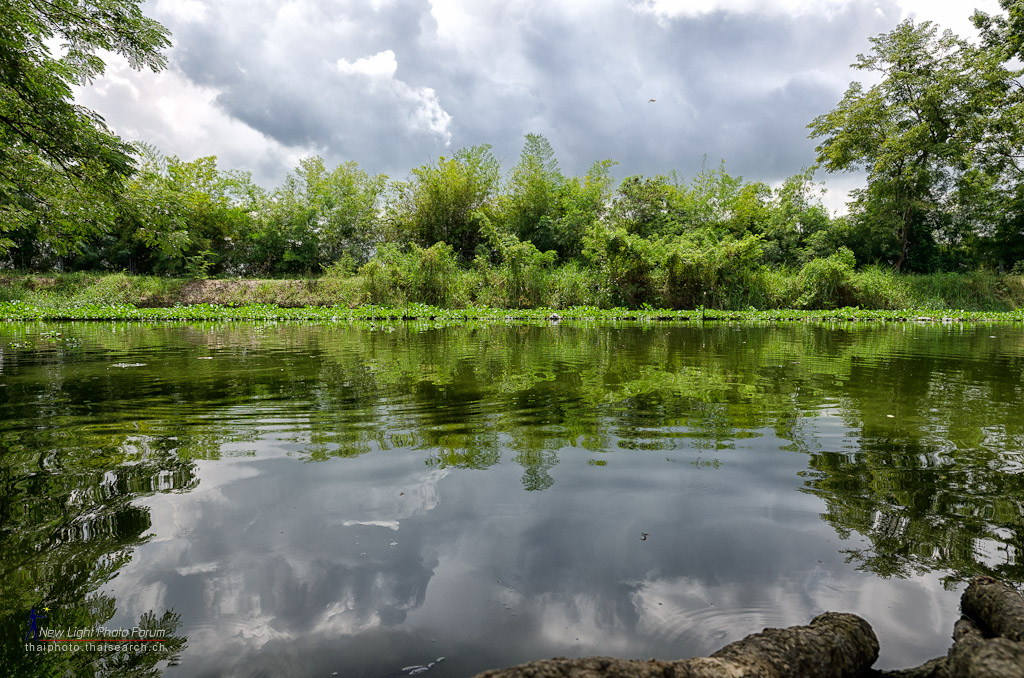 watpond2.jpg