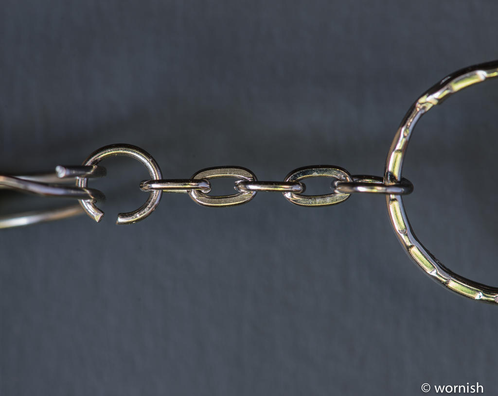 Weakest Link.jpg
