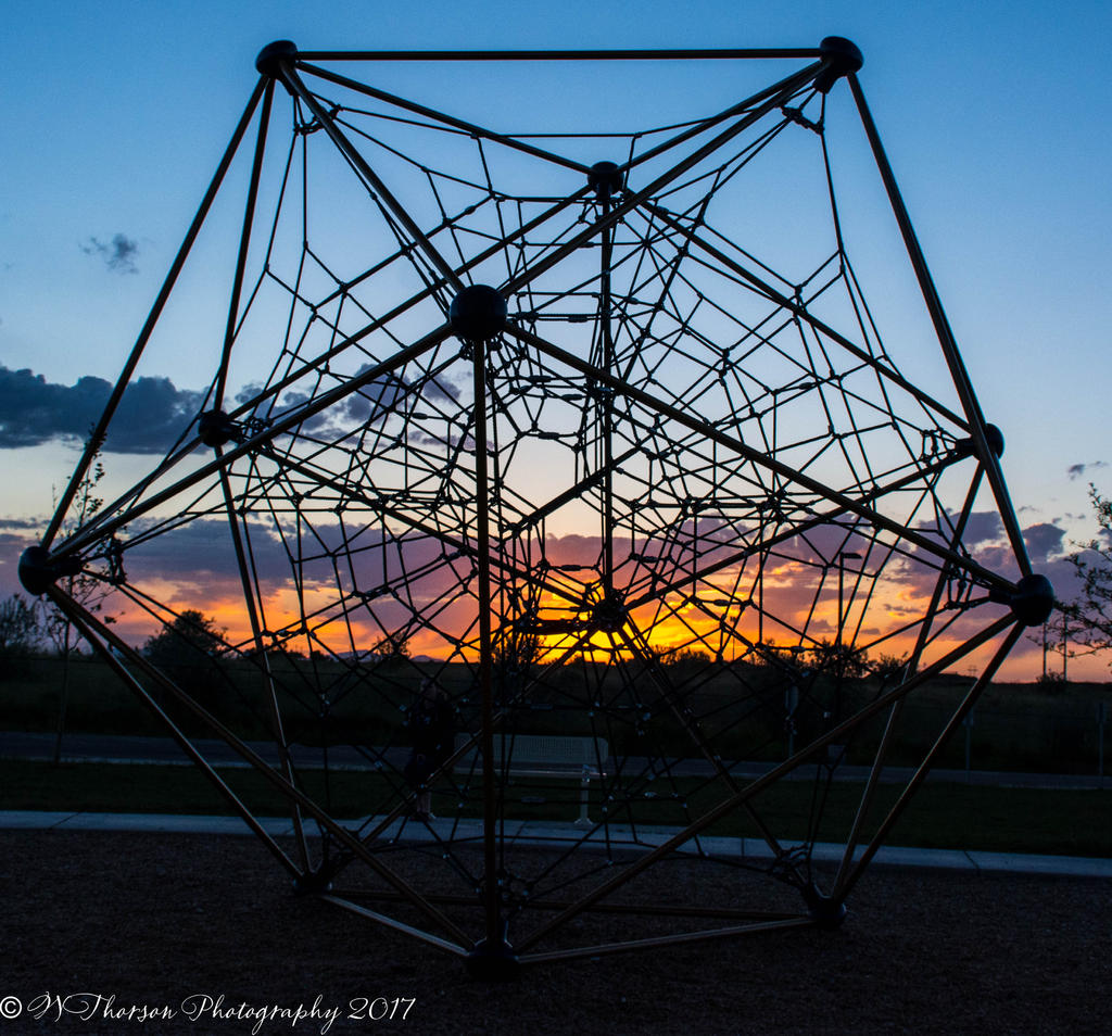 Web at the Park 6-10-2017.jpg