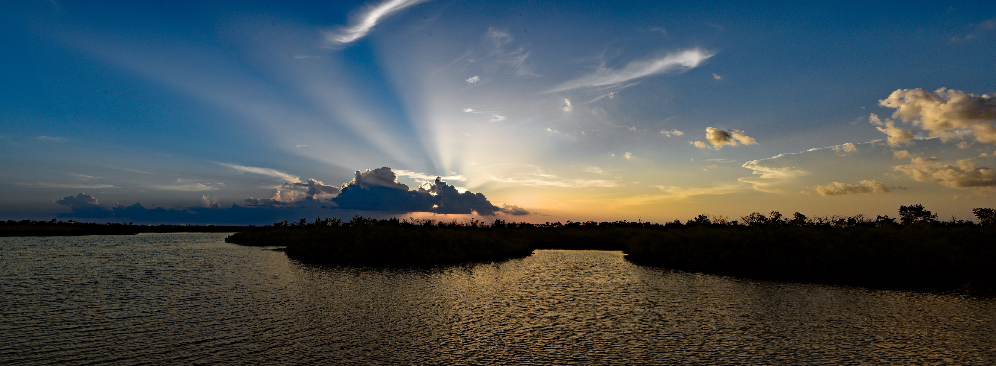 Web-Pano.jpg