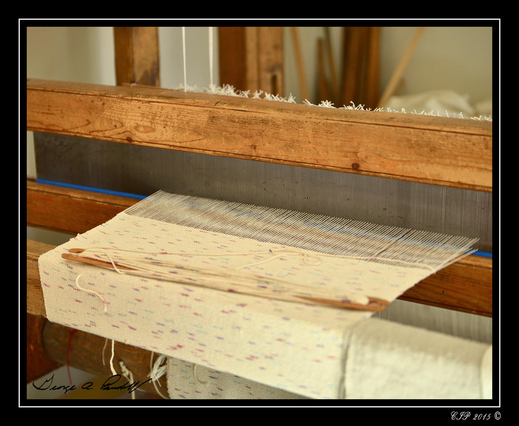 Web_DSC_3399.jpg