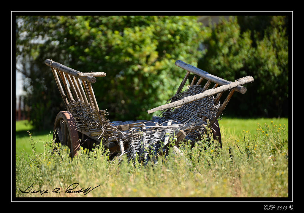 Web_DSC_3414.jpg