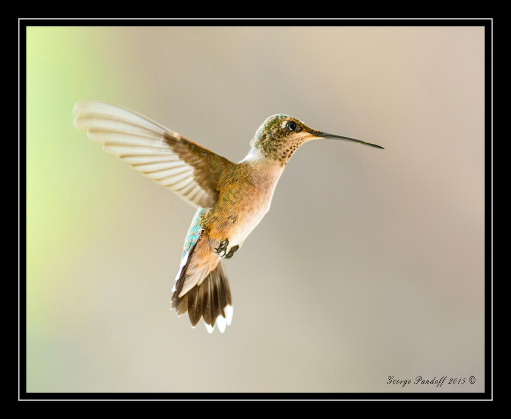 Web_DSC_5205.jpg
