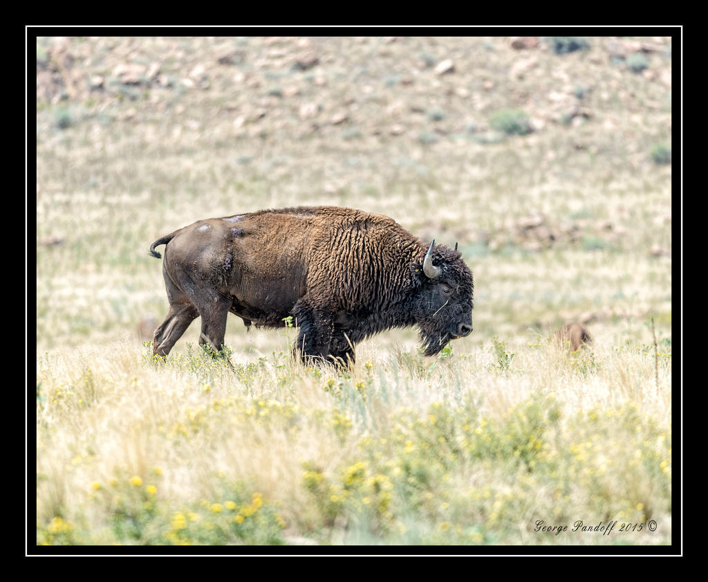 Web_DSC_5238.jpg