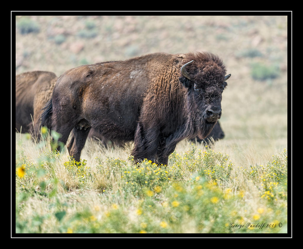 Web_DSC_5253.jpg