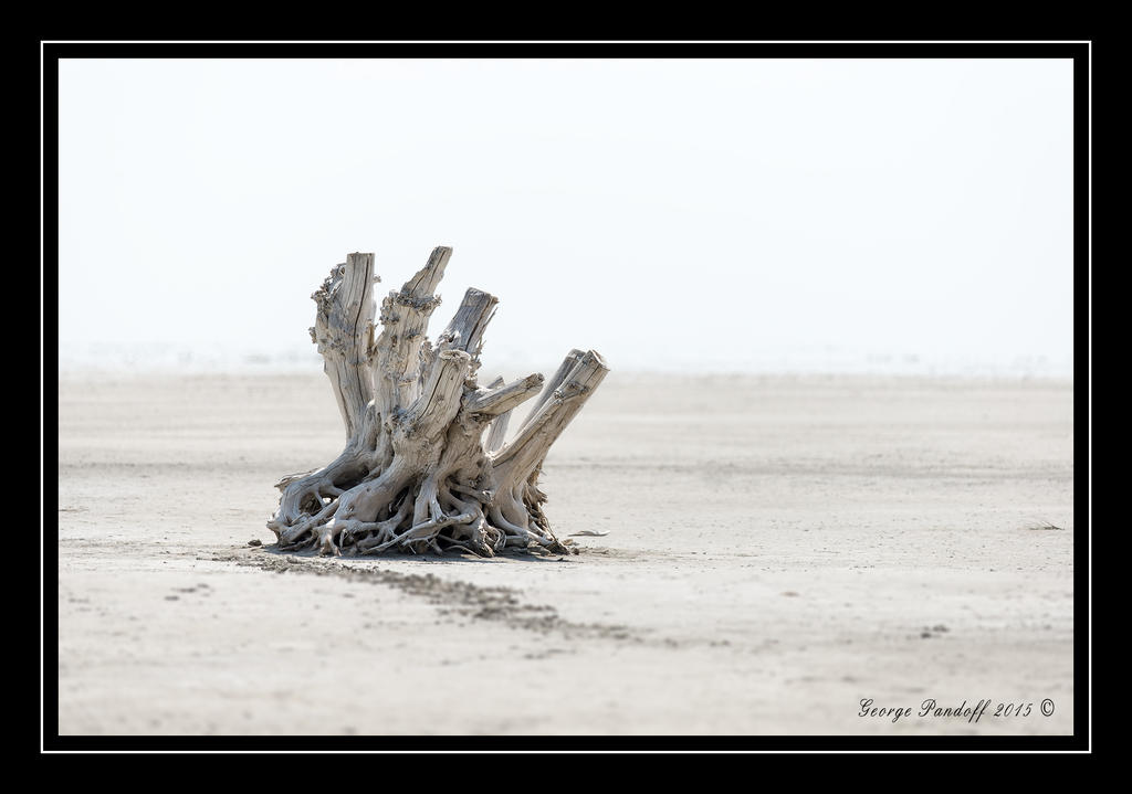 Web_DSC_5314.jpg