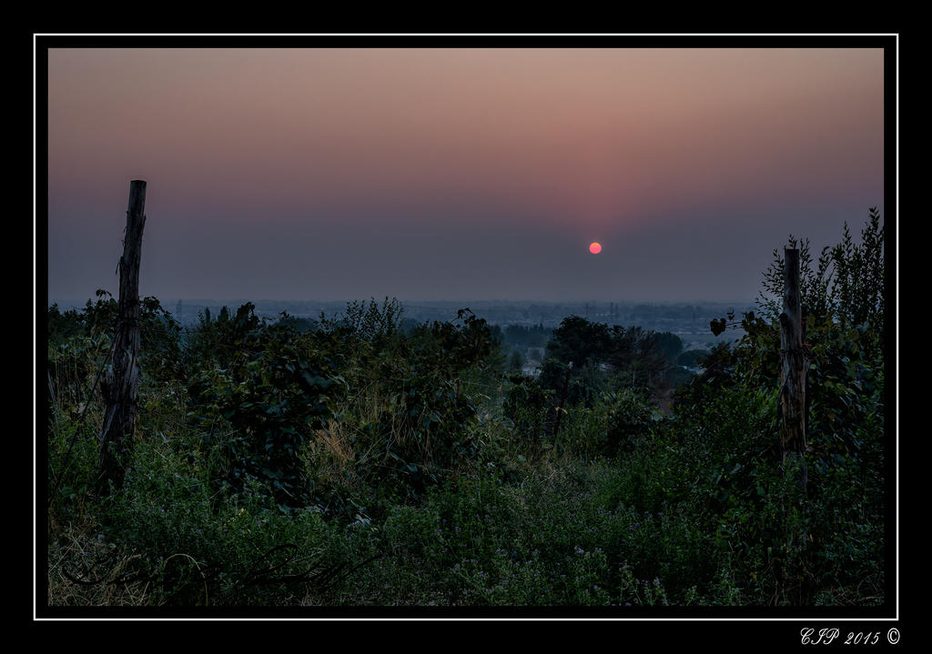 Web_DSC_5422.jpg