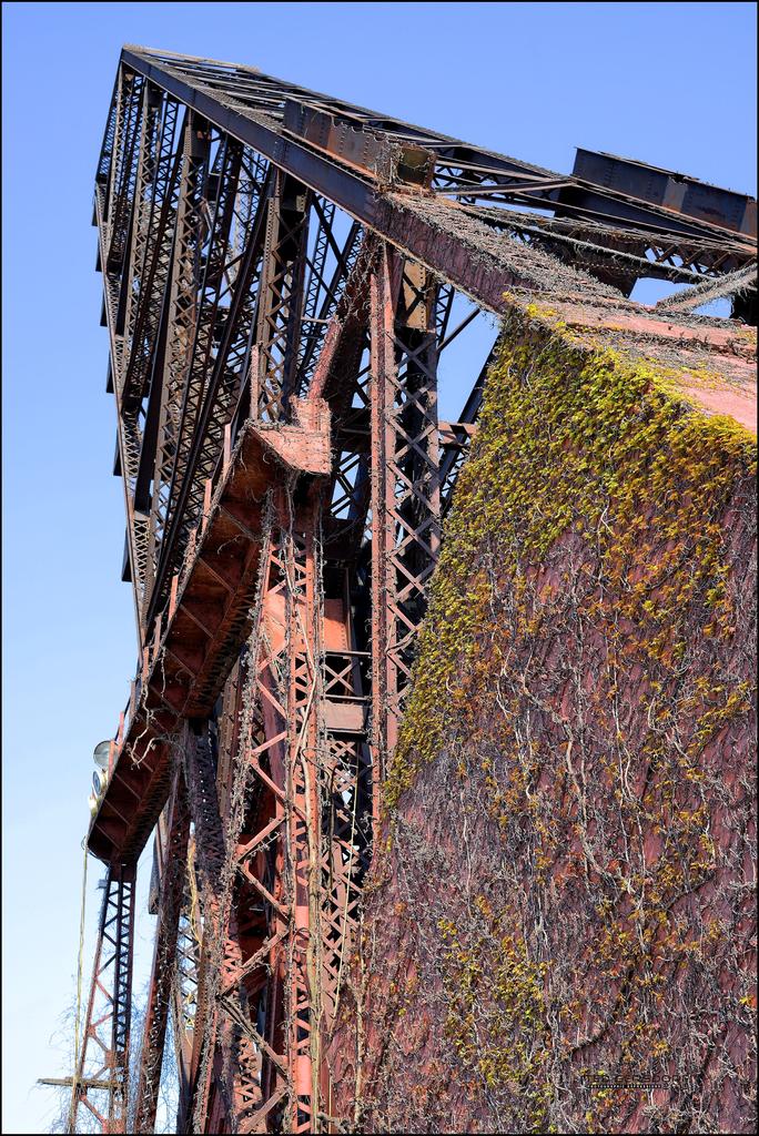 West Side of the Flats  5-3-15   4.jpg