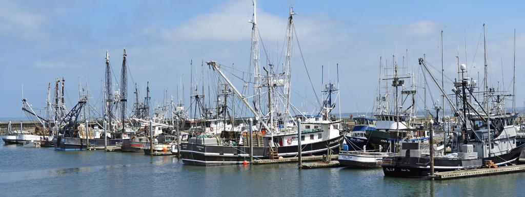 Westport Harbor WA 01 sm.jpg