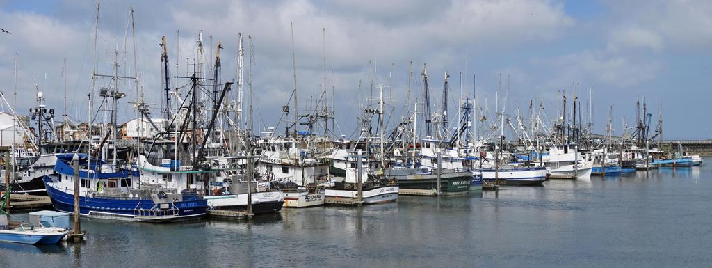 Westport Harbor WA 02 sm.jpg