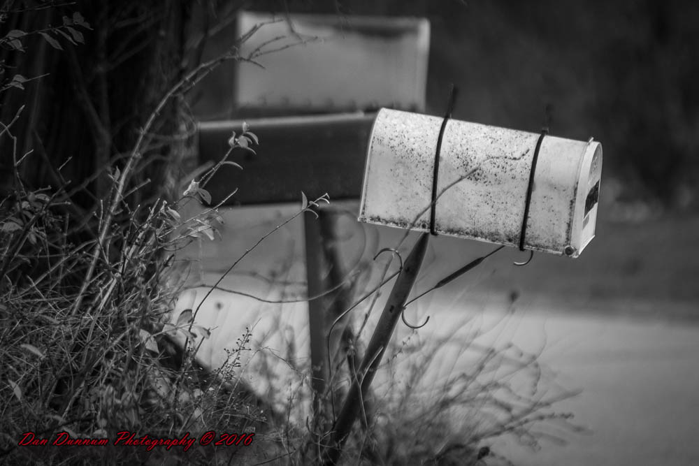 Wet and Cold-8261.jpg