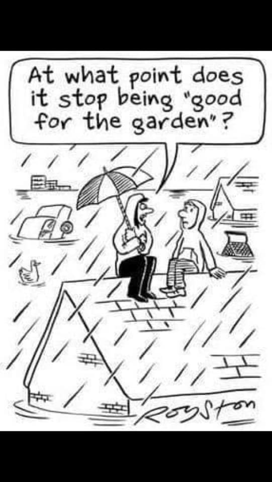 what point rain.jpg