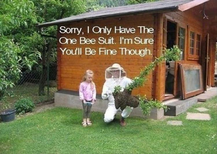 when-you-have-a-bee-suit.jpg
